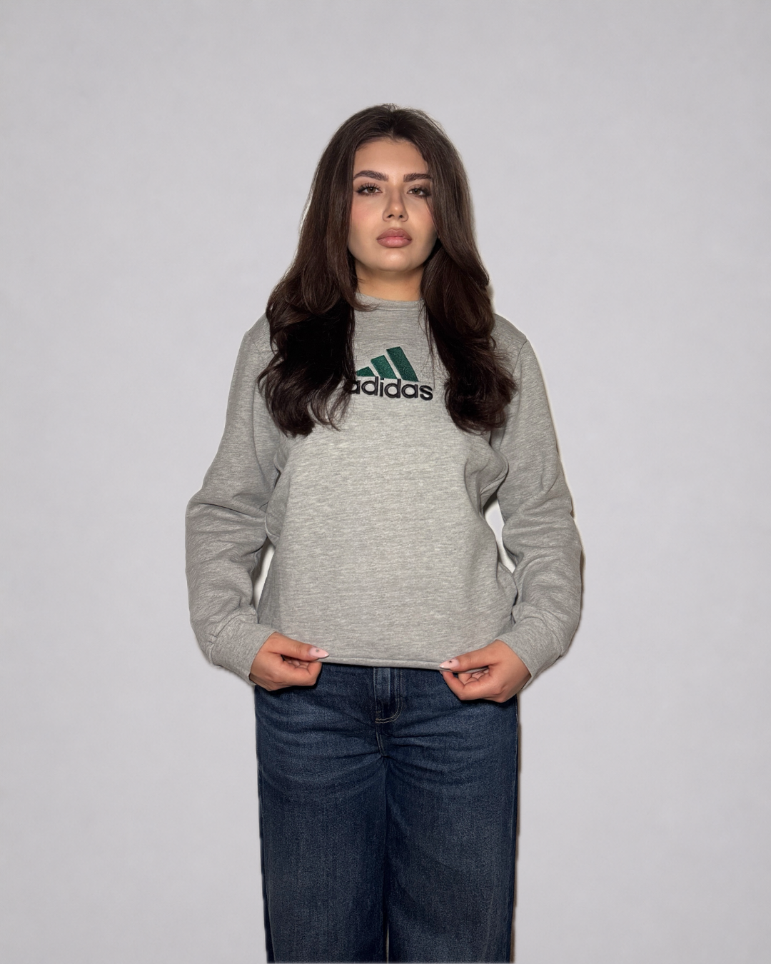 Adidas Logo Crewneck Sweatshirt (Grey)